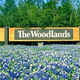 Illustration for article titled Woodlands: Real Estate and Area Guideem/em